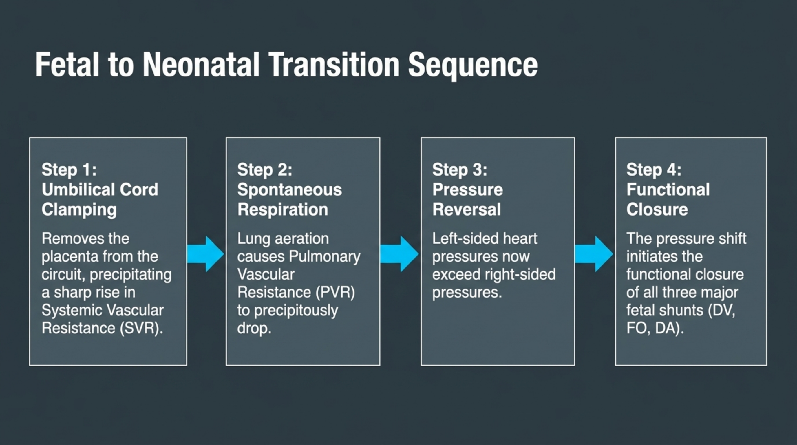 Slide 10